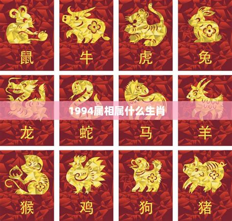 1994年生肖五行|1994年出生是什么命运势如何？什么五行？